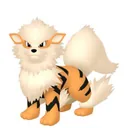 Arcanine placeholder card