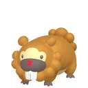 Bidoof placeholder card