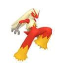 Blaziken placeholder card