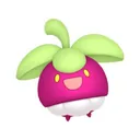 Bounsweet placeholder card
