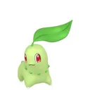 Chikorita placeholder card