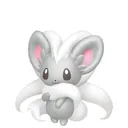 Cinccino placeholder card