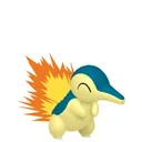 Cyndaquil placeholder card