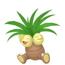 Exeggutor placeholder card