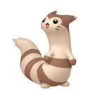 Furret placeholder card