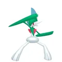 Gallade placeholder card