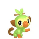 Grookey placeholder card