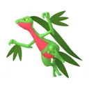 Grovyle placeholder card