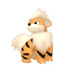 Growlithe placeholder card
