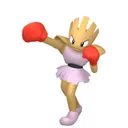 Hitmonchan placeholder card