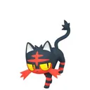 Litten placeholder card