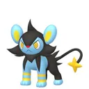Luxio placeholder card