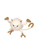 Mankey placeholder card