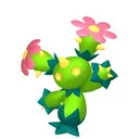 Maractus placeholder card
