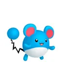 Marill placeholder card