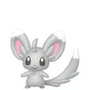 Minccino placeholder card