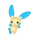 Minun placeholder card