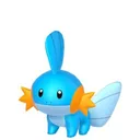 Mudkip placeholder card