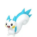 Pachirisu placeholder card