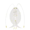 Pheromosa placeholder card