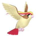 Pidgeot placeholder card