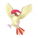 Pidgeotto placeholder card
