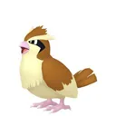 Pidgey placeholder card