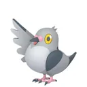 Pidove placeholder card
