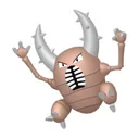 Pinsir placeholder card