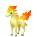 Ponyta placeholder card