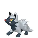 Poochyena placeholder card