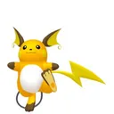 Raichu placeholder card