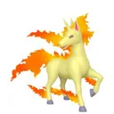 Rapidash placeholder card