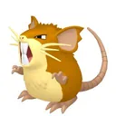 Raticate placeholder card