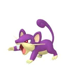 Rattata placeholder card