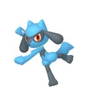 Riolu placeholder card