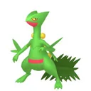 Sceptile placeholder card