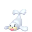 Seel placeholder card