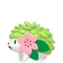 Shaymin placeholder card