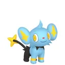 Shinx placeholder card