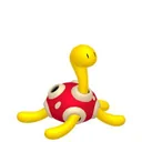 Shuckle placeholder card
