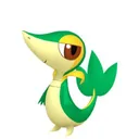 Snivy placeholder card