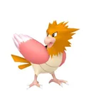 Spearow placeholder card