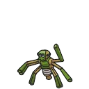 Spidops placeholder card