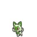 Sprigatito placeholder card