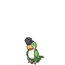 Squawkabilly placeholder card