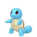 Squirtle placeholder card