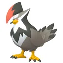 Staraptor placeholder card