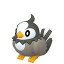 Starly placeholder card