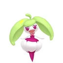 Steenee placeholder card